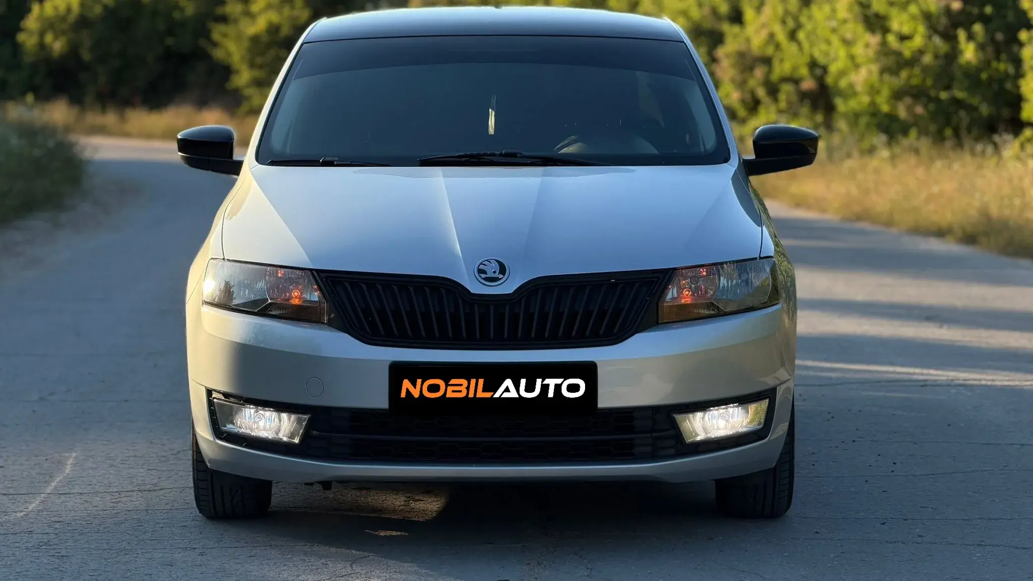 Skoda Rapid