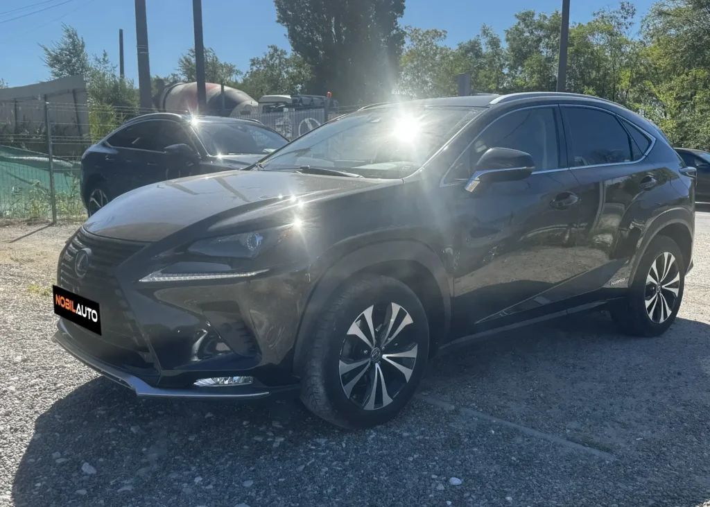 Lexus NX Series