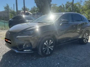 Lexus NX Series
