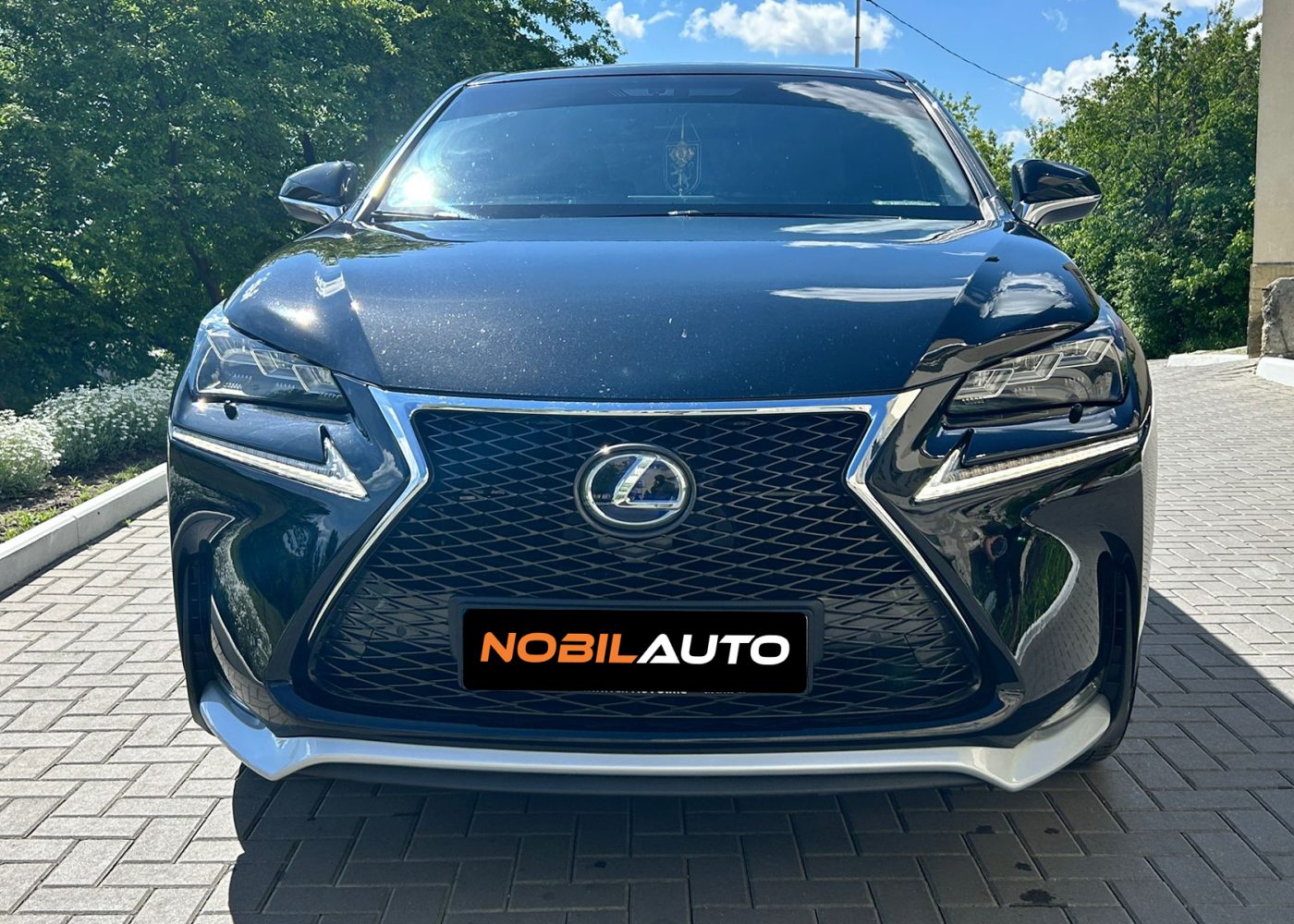 Lexus NX300H