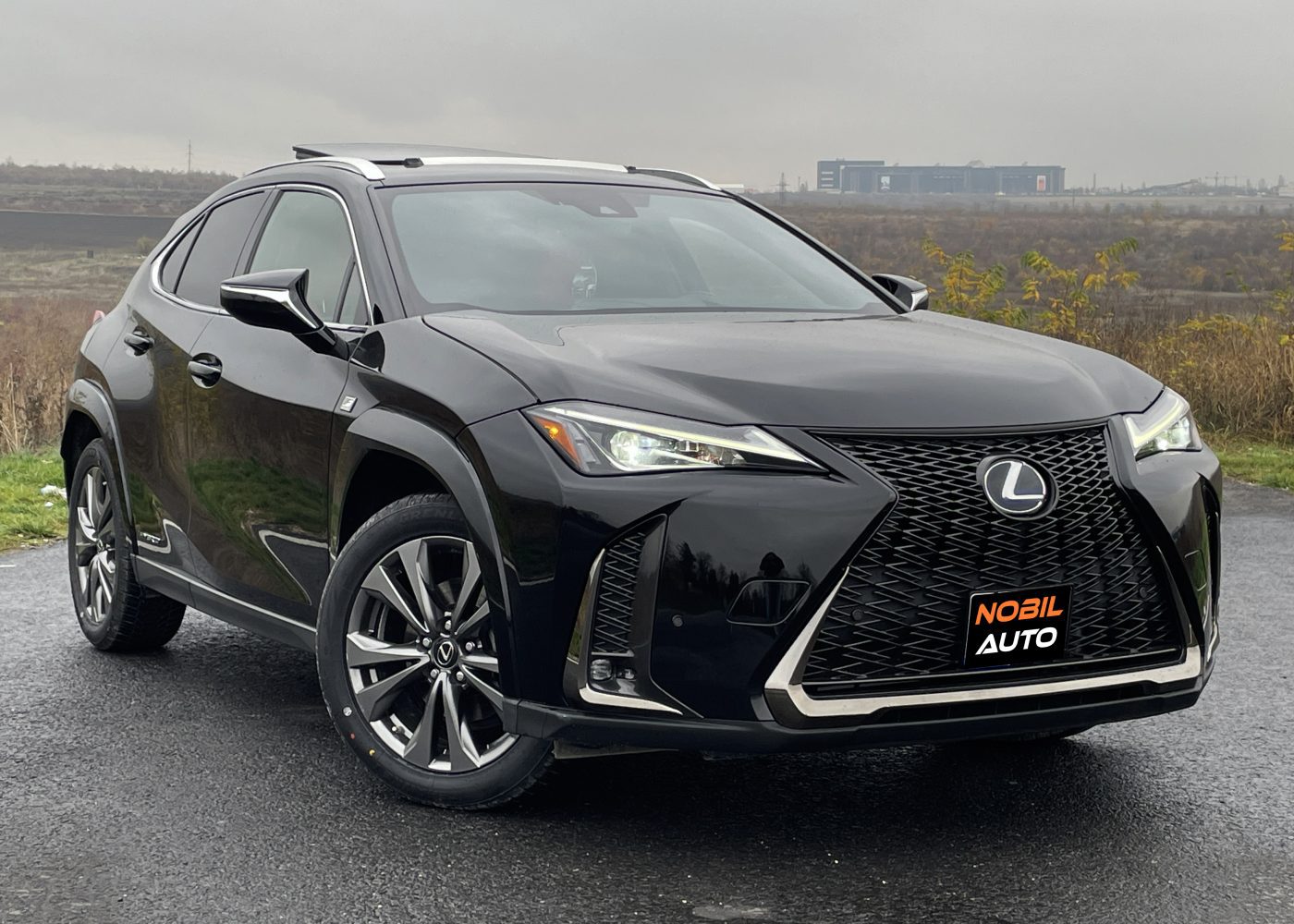 Lexus UX250h