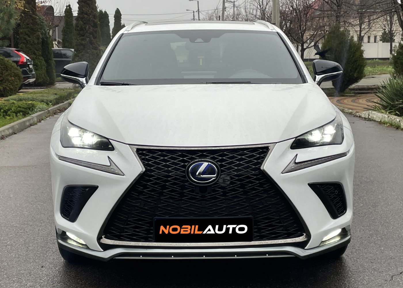 Lexus NX300H
